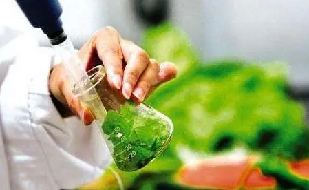 澳洲食品科学学习起来难不难？(澳大利亚食品科学方面的大学)