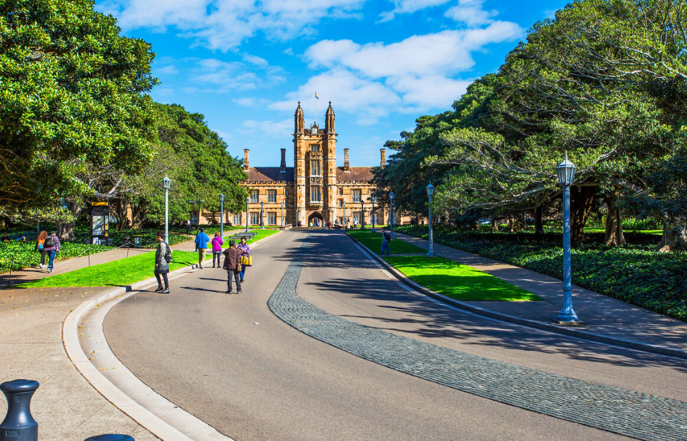 悉尼大学Commerce选课：商科硕士(商业信息系统方向)
