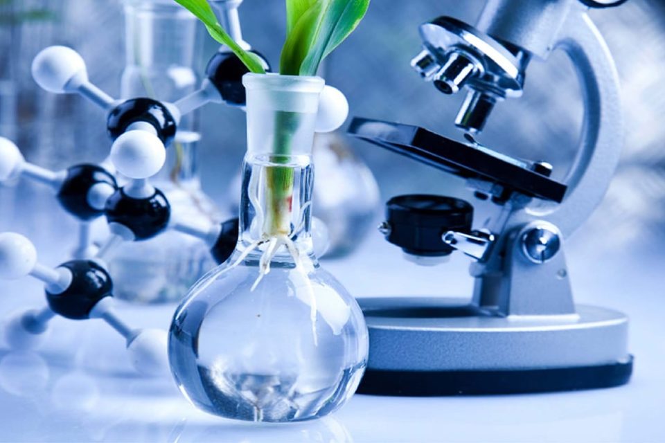 澳洲悉尼科技大学Bachelor of Biotechnology生物技术辅导