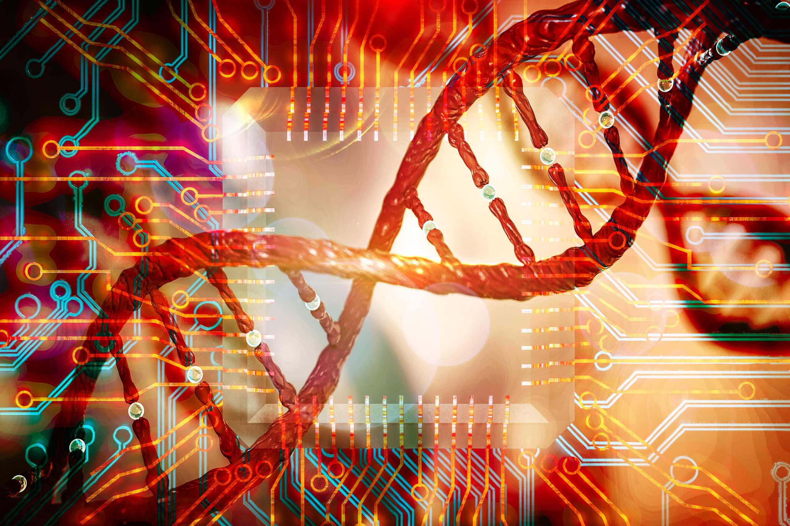 昆士兰大学BINF6000生物信息学课程解析