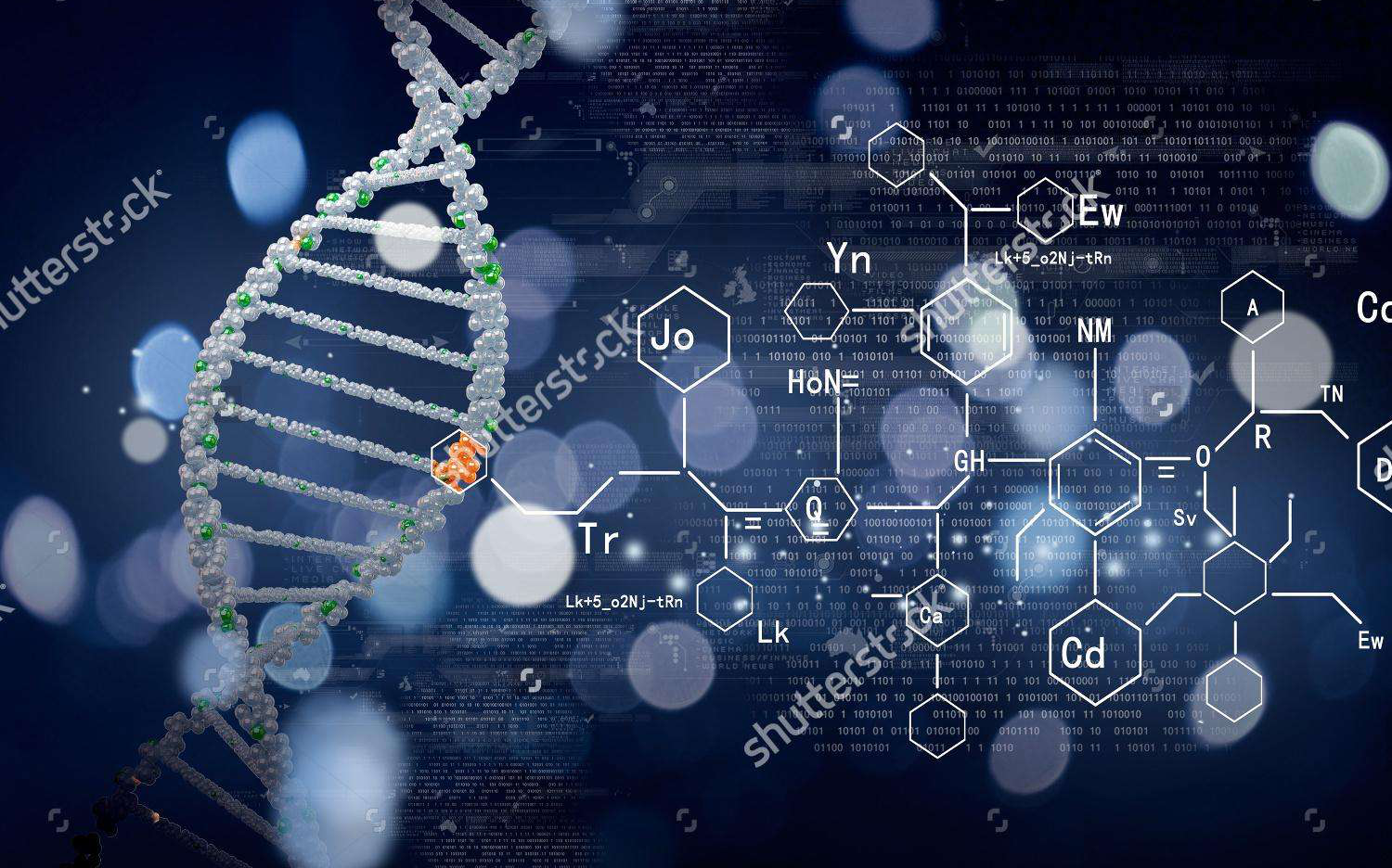 澳洲本科化学生物课知识预习