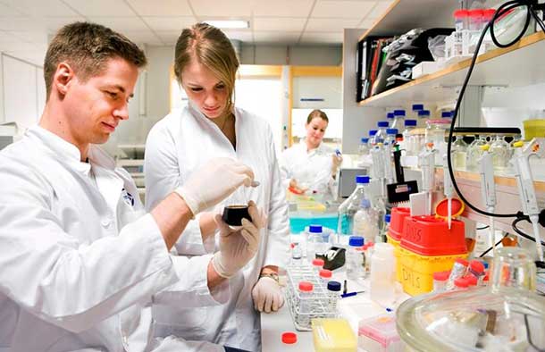 悉尼大学生物医学与健康信息专业课程辅导机构