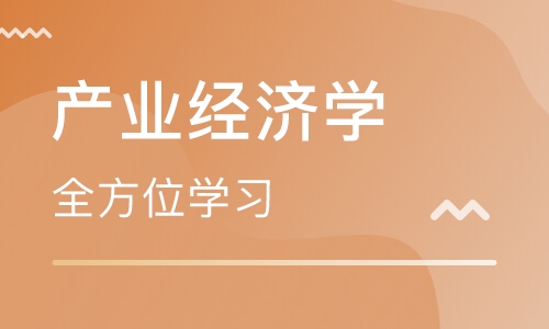 留学生产业经济学作业辅导