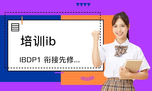 ib一对一辅导