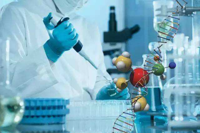 澳洲本科生物作业课程在线辅导