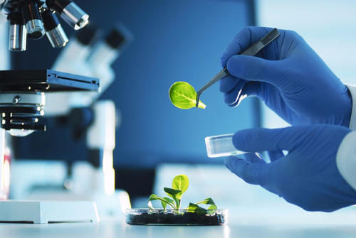 生物工程作业论文辅导
