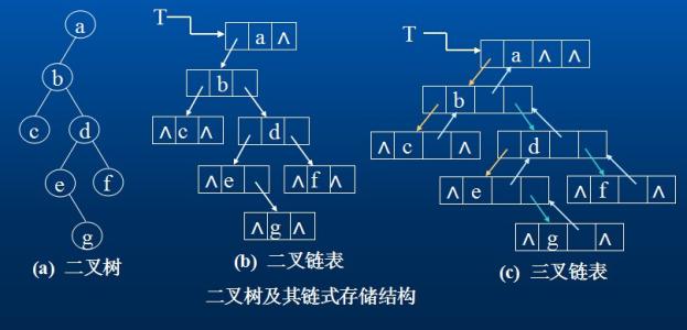 COMP2823：数据结构和算法(Adv)课程作业辅导