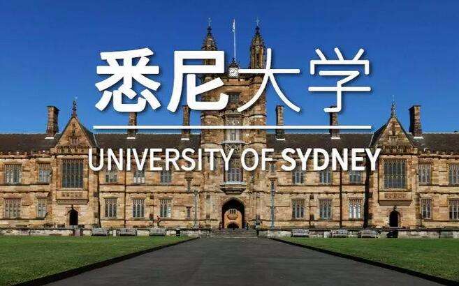 澳大利亚悉尼大学论文一对一修改润色