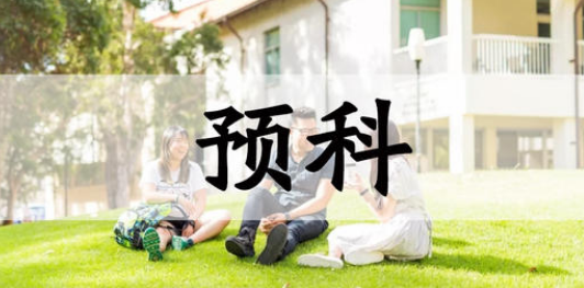 澳洲预科上什么课程啊?