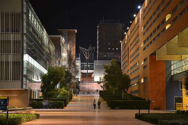 澳洲新南威尔士大学商科本科Business都有哪些专业？