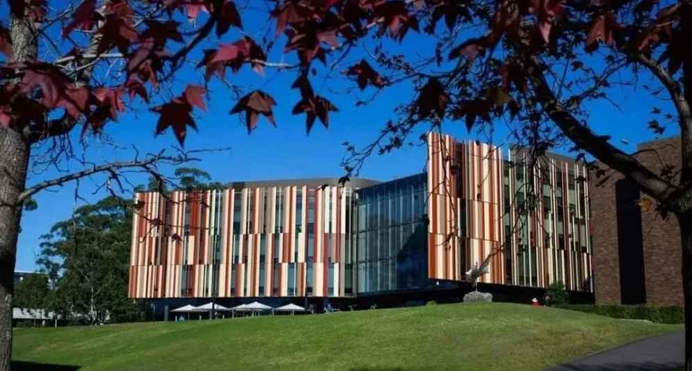 麦考瑞大学承认挂科转学学分吗?