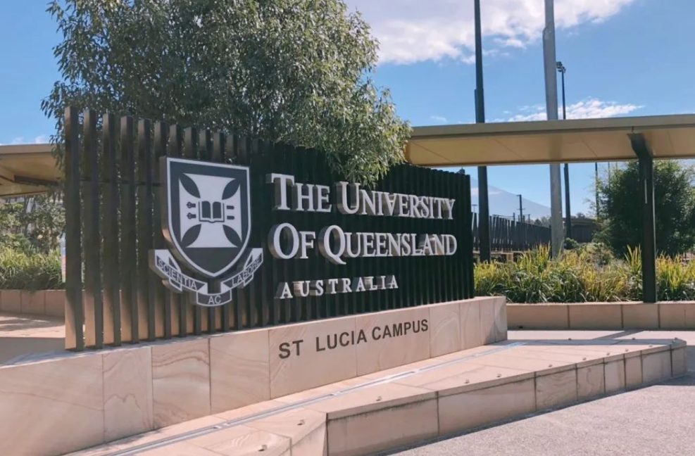 昆士兰大学Professional accounting有哪些课程?专业会计选课指南!