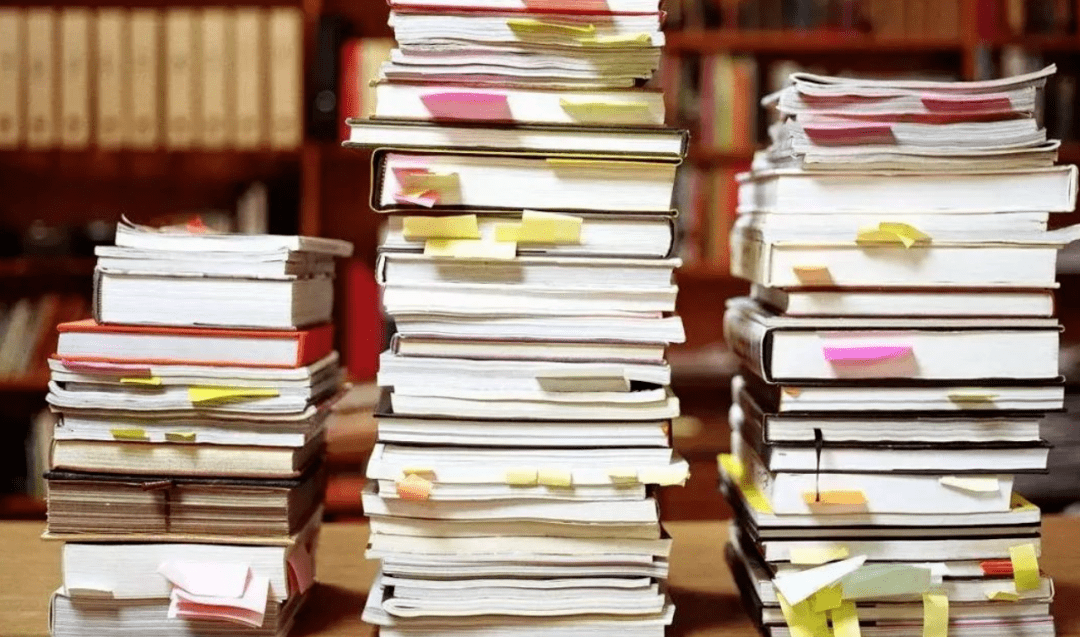 莫纳什大学本科科学与艺术选课指导