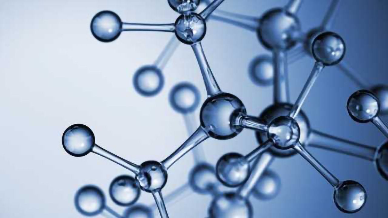 悉尼大学BIOL1007课程评估重点