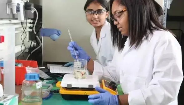 生物医学作业都有哪些？(生物医学的作用)