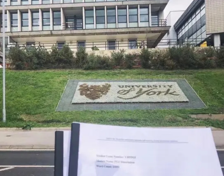 约克大学入学笔面试一般会问什么问题？