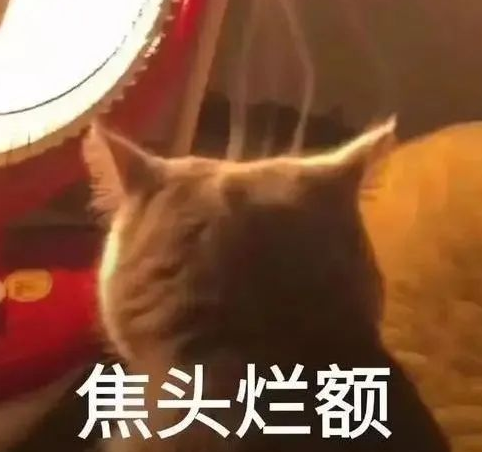 留学生硕士论文分数低可以申诉吗?可以!