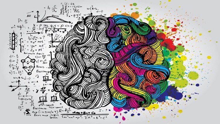 加拿大麦克马斯特大学Arts & Science艺术与科学辅导