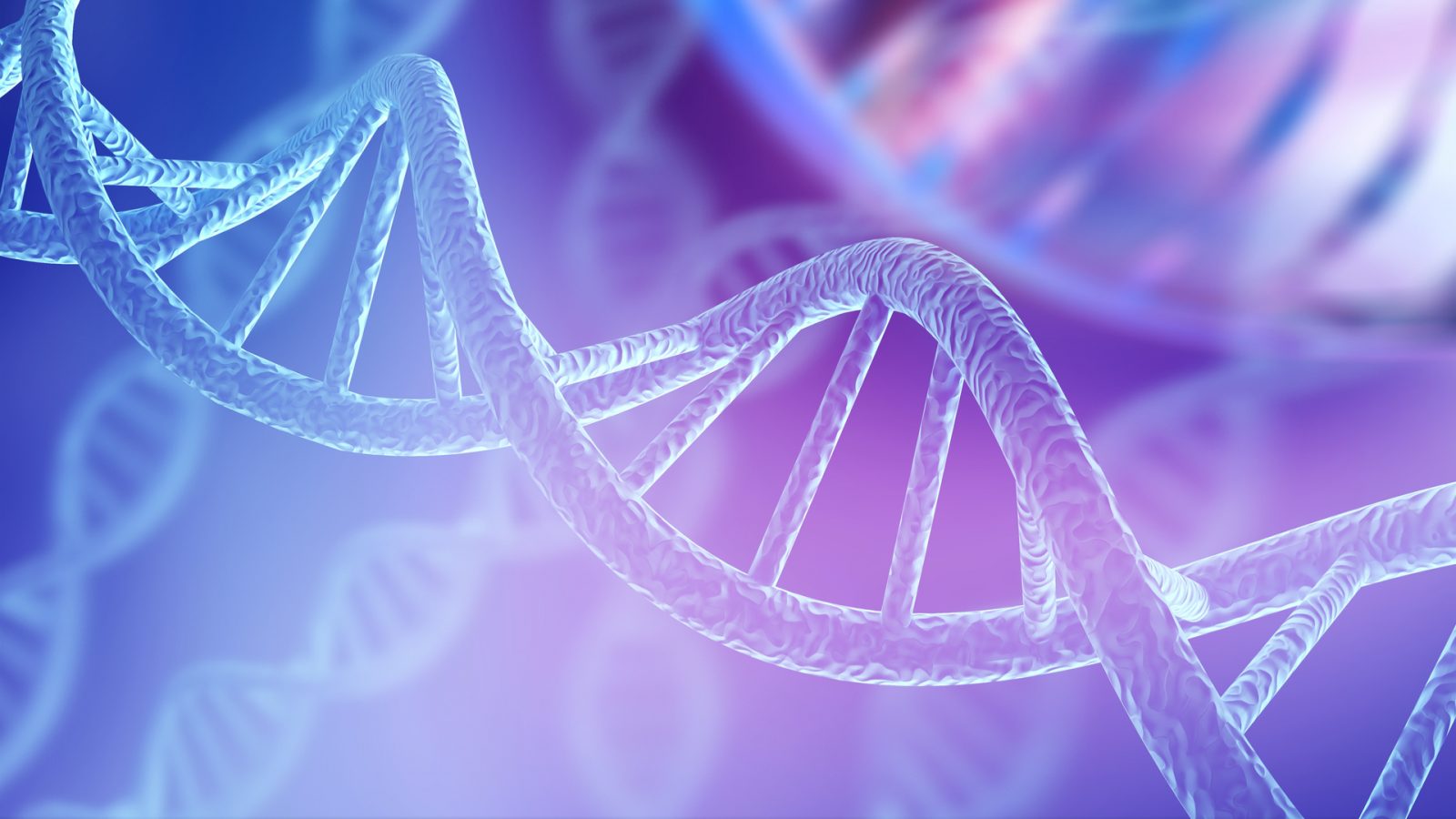 加拿大威斯菲尔德高中12年级生物学课程介绍