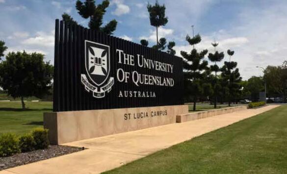 ubc商科管理大二网课