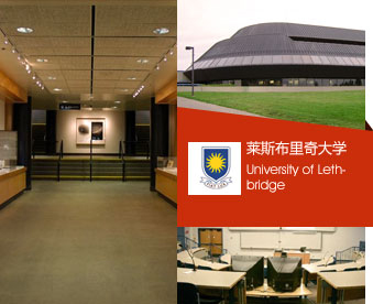 莱斯布里奇大学补习