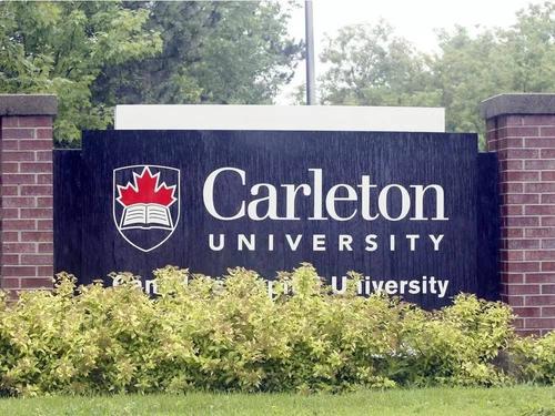 卡尔顿大学大一统计与经济作业补习