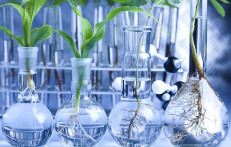 加拿大本科预科生物课程难不难