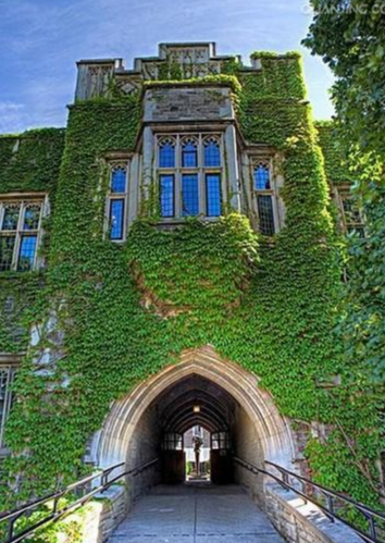 多伦多大学本科数学专业对学生的A-level成绩要求是多少?