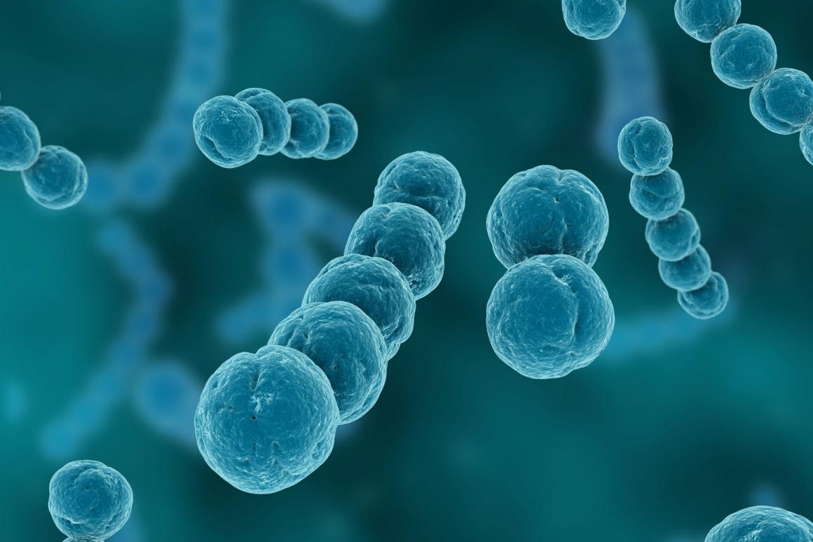 加拿大圭尔夫大学本科细胞分子生物学Final Exam主要考什么？