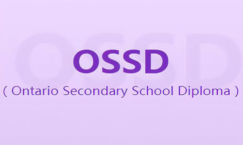 加拿大ossd课程体系梳理与指导补习
