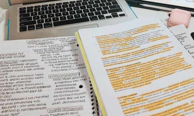 埃因霍芬大学论文写作常见问题解答，留学生必看！