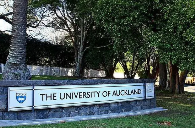 奥克兰大学毕业论文辅导班有哪些？