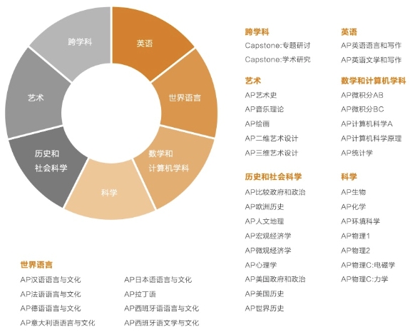 AP课程线上是什么？(ap课程班是什么意思)