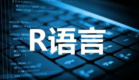 R语言作业辅导机构有那些？
