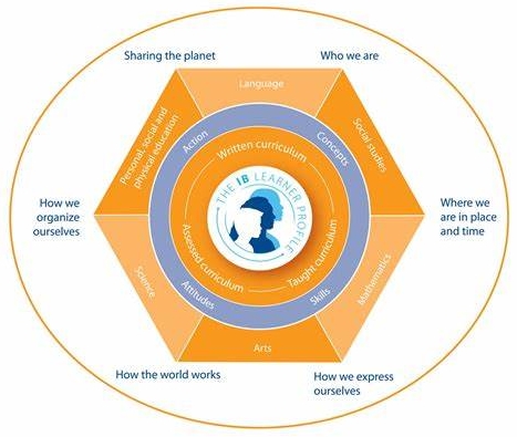 IB PYP难吗？(ib,pbl,myp,pyp)