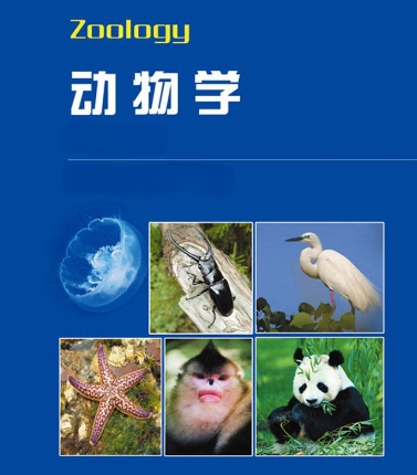 动物科学学士可以找老师辅导吗？(学动物科学好找工作吗)