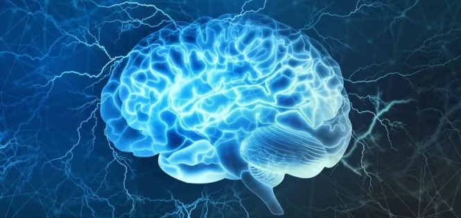 高级神经科学如何提升成绩？(高级神经学的创立者是谁)
