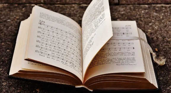 paper太难怎么办？(paper 1)