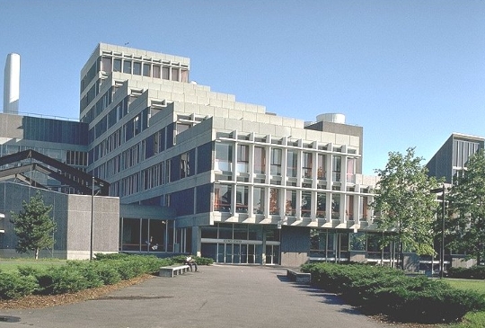 国外大学本预学什么？