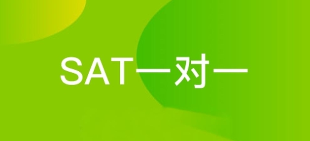 sat一对一学什么？(sat网课一对一)