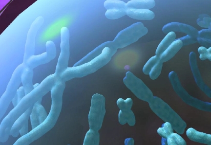 环境生物技术学习起来难不难？(环境生物技术考试重点)