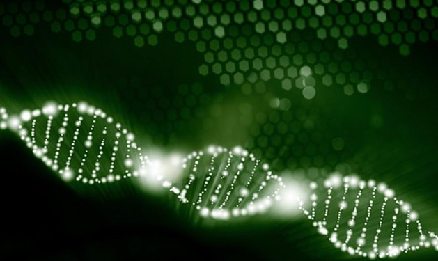环境生物技术学习起来难不难？(环境生物工程技术)
