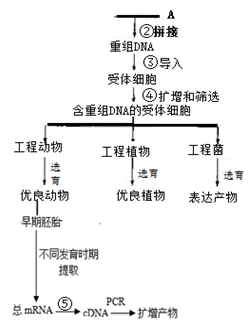 基因工程课程都有哪些？(基因工程课程都有哪些科目)