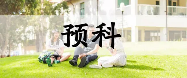 留学生预科专业预习辅导机构那里好？