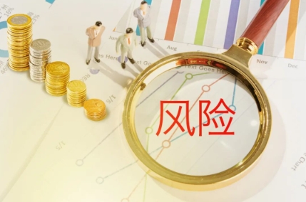金融风险理论都有哪些？(金融风险理论都有哪些方面)