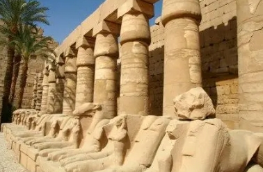 Ancient History课程分数太低，有没有靠谱的辅导？