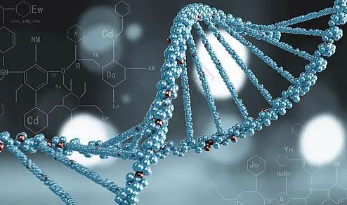 高级生物化学如何提分？(高级生物化学重点)