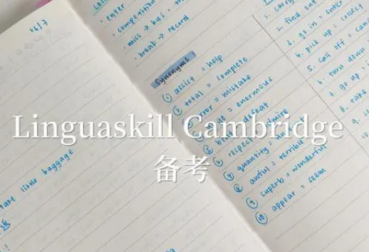 Linguaskill写作课程难题太多，应该选择辅导吗？
