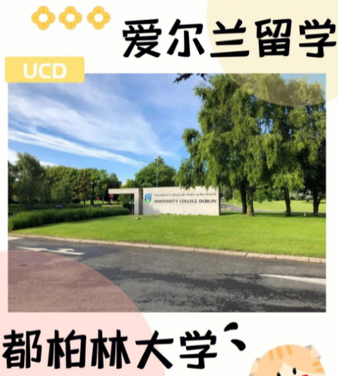 爱尔兰留学论文怎么写得高分？