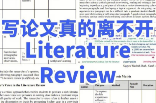 Literature Review课程学不会怎么办？有没有辅导老师？